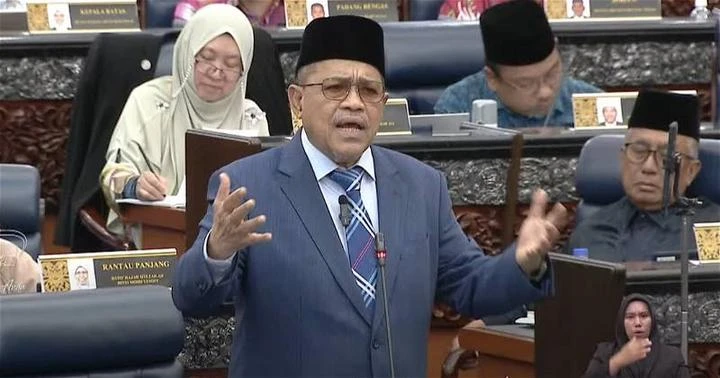 沙希淡冀提高國會非巫裔代表性　建議大馬效仿新國採用集選區制