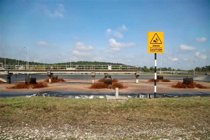 食物垃圾達每日垃圾總量30%　倪可敏：改變生活方式杜絕奢靡