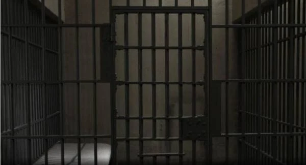 發表侮辱雪蘇丹言論　宗教學者旺吉入獄9個月