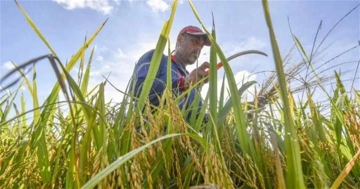 東協農長會議重點商糧食危機　末沙布：一國缺糧各國援助