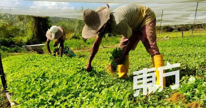 【2024年財案】工商界領袖冀打救令吉重振經濟　降課稅、增低息貸款及獎掖