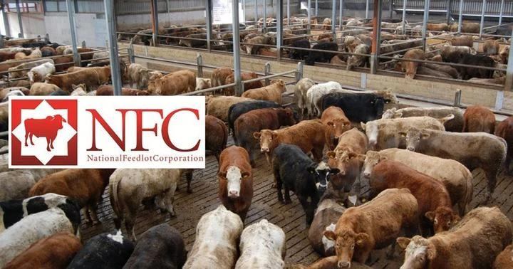 追討養牛公司2.5億案　高庭駁回政府索賠申請