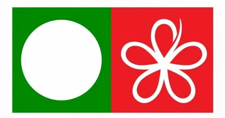 前領袖：若再依賴伊黨　土團黨難再當政府