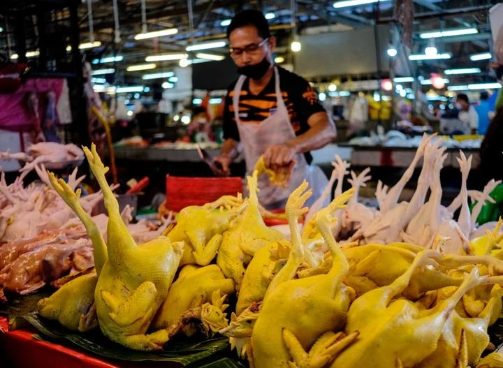 副部長：肉雞雞蛋生產恢復正常　解除價格管制適當