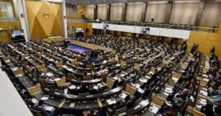 阿莎麗娜：議員被開除黨籍不算跳槽