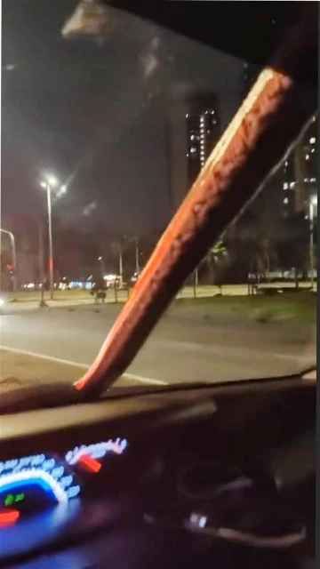 行駛中擋風鏡突冒出大蟒蛇　車主狂奔到賽城消拯局求助