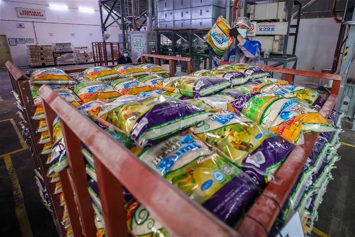 陳泓縑冀大馬白米自給率2025年達75%