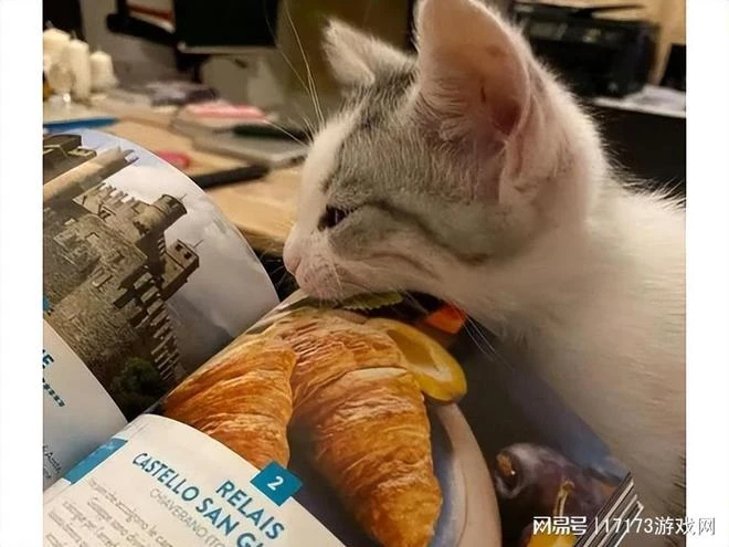 暴雪又雙叒吃書？魔獸守護者提爾當場失憶，未參與泰坦的黑暗計劃