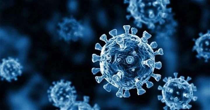 衛生部吁公眾對新冠疫情保持冷靜