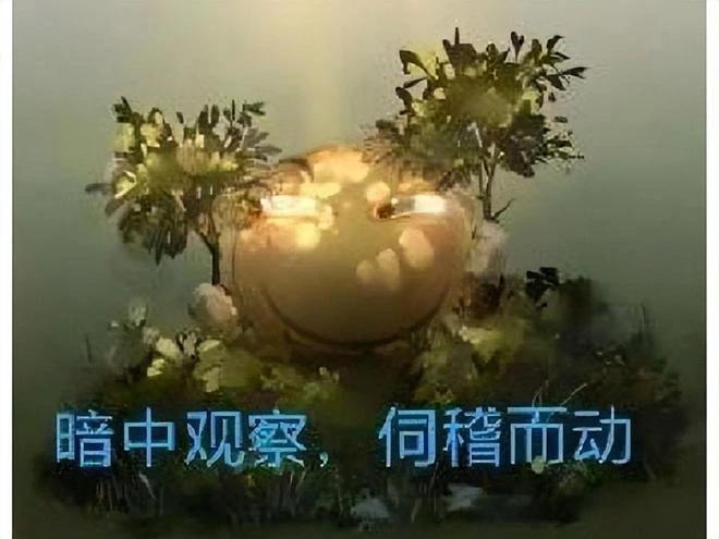 育碧新作卡梅隆都點贊，打造一個外星生態，但被吐槽好看不好玩