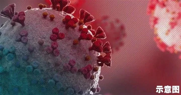 Omicron不兇猛患者症狀多屬輕微　衛生部：確診病例料一個月後降