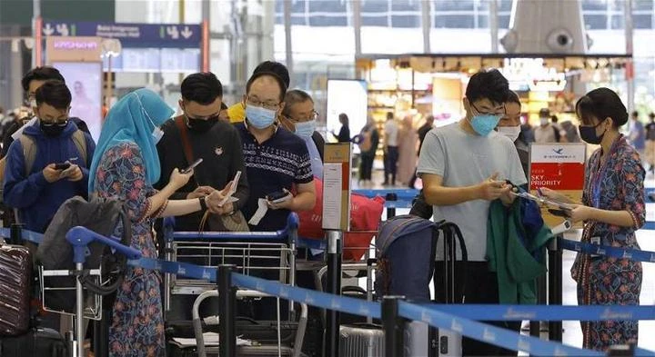 免簽政策為旅遊業注新活力　中國客有望回升至疫情前水平