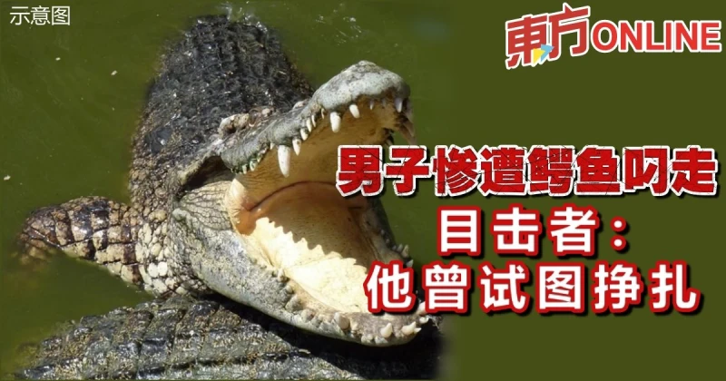 男子慘遭鱷魚叼走　目擊者：他曾試圖掙扎
