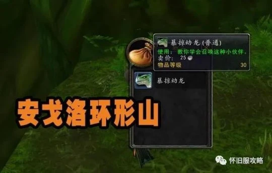 WLK前夕：這四個寵物點擊就送 解鎖一個成就