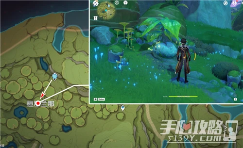 《原神》關於你與蘭那羅的故事兌換地點