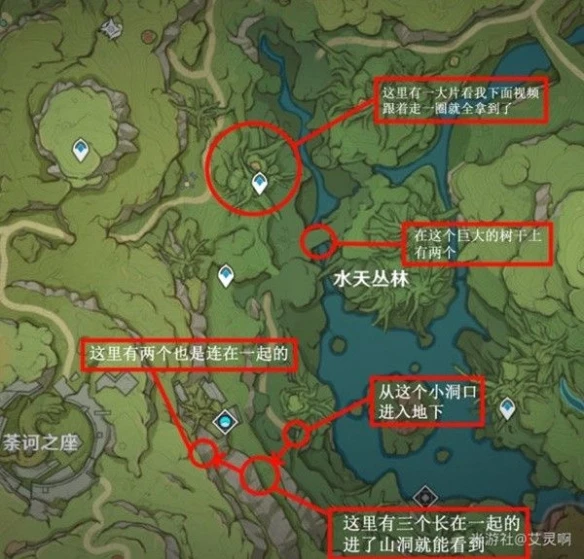 《原神》3.0樹王聖體菇採集地點分享