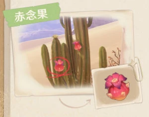 《原神》須彌沙漠生物及特產一覽