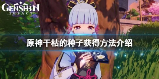 《原神》乾枯的種子怎麼獲得？乾枯的種子獲得方法介紹