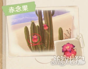 原神3.1沙漠生物有哪些 新增特產及生物介紹 2022-09-20 14:36:50