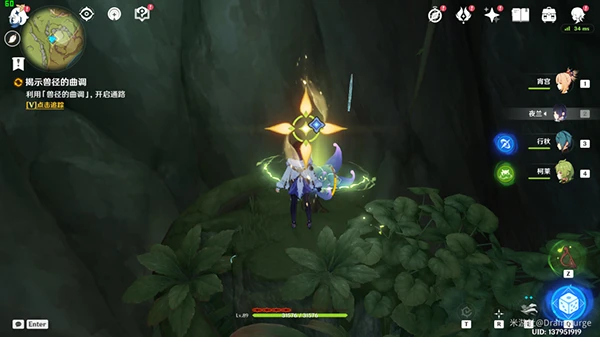 原神森林書攻略匯總大合集 須彌森林書任務都要怎麼完成