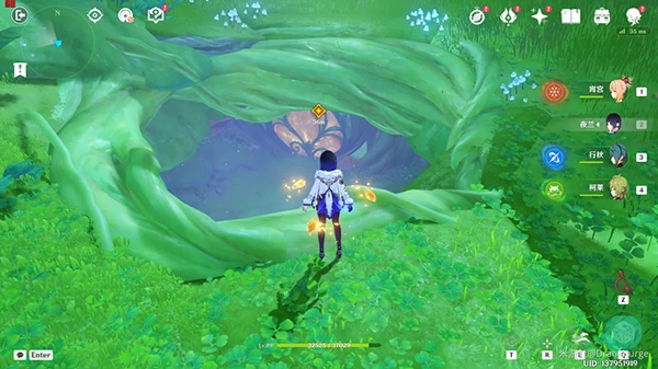 原神森林書攻略匯總大合集 須彌森林書任務都要怎麼完成