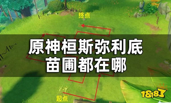 原神桓斯彌利底位置 桓斯彌利底苗圃都在哪