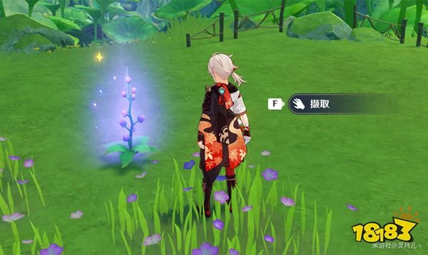 原神桓斯彌利底位置 桓斯彌利底苗圃都在哪