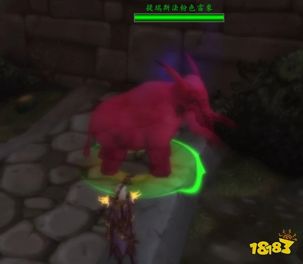 魔獸世界粉色雷象寶寶在哪 粉色雷象寶寶獲得方法