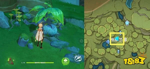 原神森林書神秘的剪貼簿全收集攻略 神秘的剪貼簿10張風景畫位置都在哪