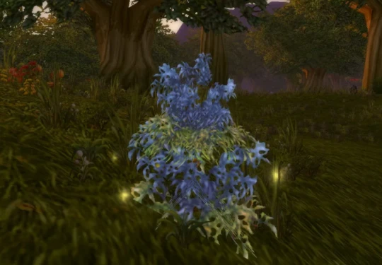 WLK懷舊服前夕專業技能：採藥1-375級升級攻略