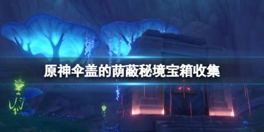 《原神》傘蓋的蔭蔽秘境怎麼開？傘蓋的蔭蔽秘境寶箱收集