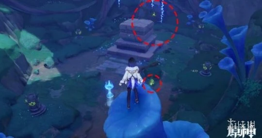 《原神》傘蓋的蔭蔽秘境怎麼開？傘蓋的蔭蔽秘境寶箱收集