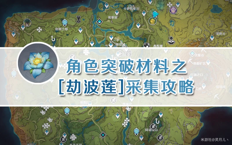 原神劫波蓮採集路線
