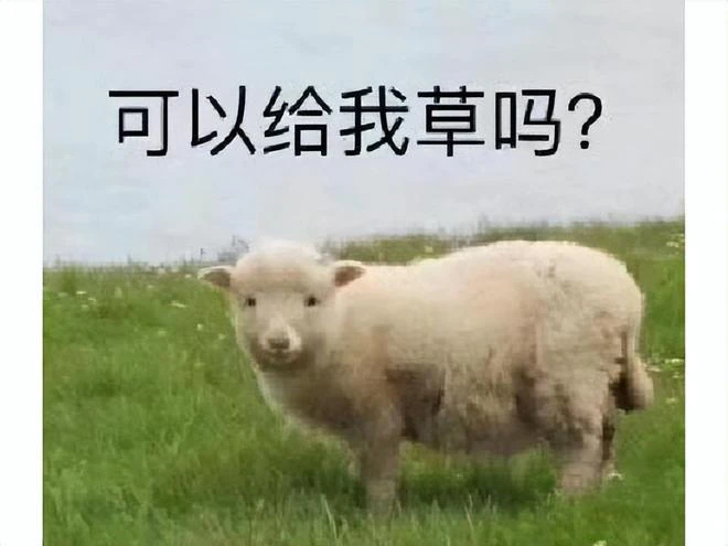 韓國玩家太猛了！在遊戲公司前披麻戴孝，給擺爛戰隊送了一車花圈