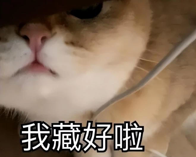 遊戲圈原始碼泄露事件，G胖哭暈在廁所，直接把遊戲回爐重做