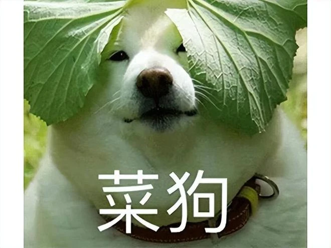 3A高質量黃油？這遊戲厲害了，玩家們卻瑟瑟不起來？