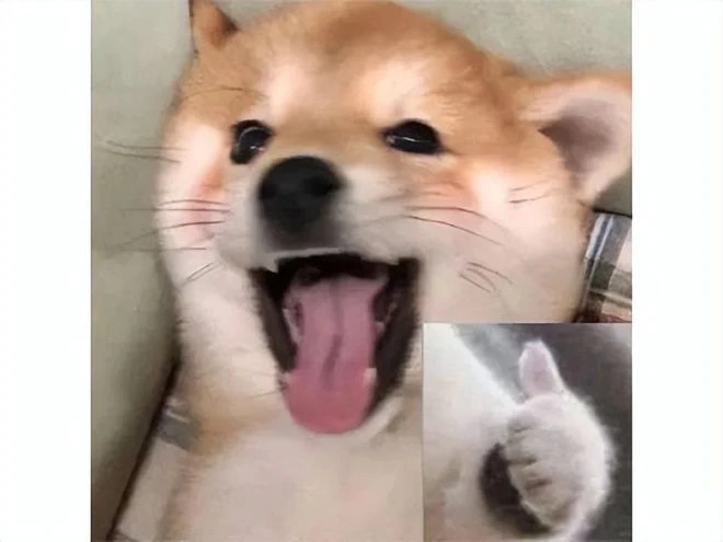 沙漠腳印細節爆炸？原神2周年慶大招瘋狂蓄力，幻塔壓力很大