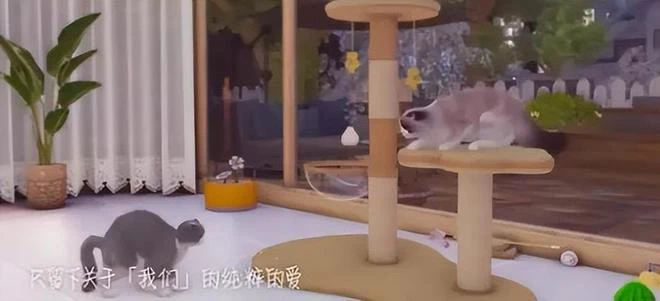 一年賣200萬的國產遊戲，代碼邏輯極其離譜，修補四年推出完整版