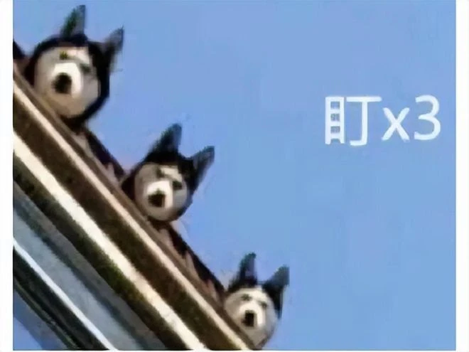 山寨的被山寨了？《羊了個羊》大火之後，山寨它的卻登頂排行榜了