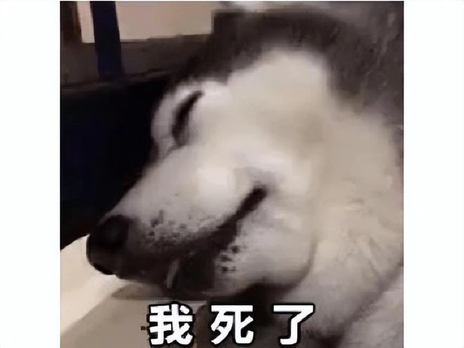 B站代理都救不了！古劍奇譚木語人宣布停運，玩家：千秋戲不要涼