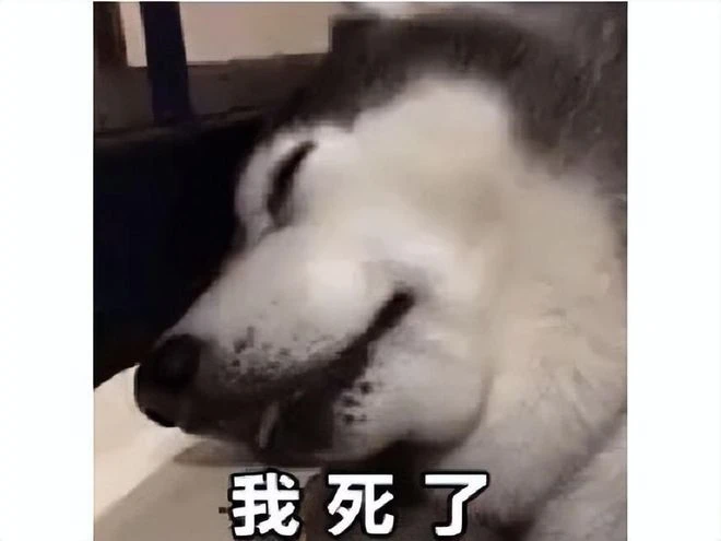 古劍衍生遊戲涼了！運營一年多就宣布停運，玩家：意料中