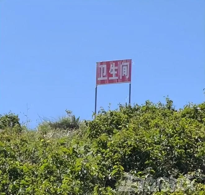 白金工作室持續擺爛？首發當日僅650人在線，僅上架半年就涼涼