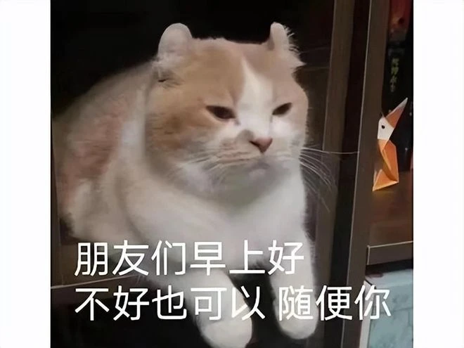 公主帶領國民下海？時隔三年上架，姿勢多樣內含大量福利事件