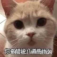 《荒野的召喚 垂釣者》遊戲評測 釣魚模擬器× 野營模擬器√