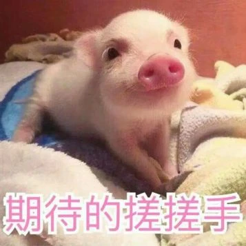 幻塔2.2版本「鏡花月影」上線 你見過凌晨四點的鏡都嗎