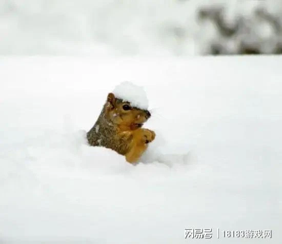 AI配音、AI作畫、AI下棋  AI是否會取代人類的所有工作