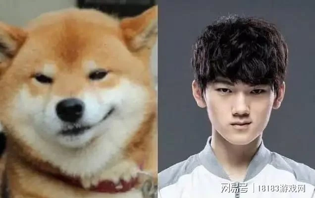 為什麼暴斃的總是他 談談JKlove的打法與現狀