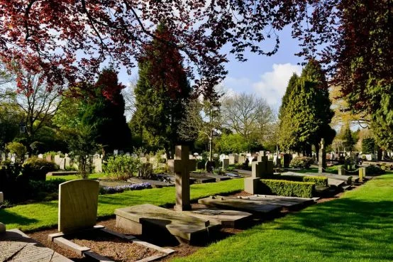 《最遠的邊陲》遊戲評測 硬核到心累的種田遊戲