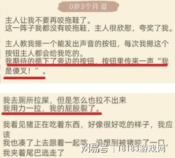 《狗生模擬器》遊戲評測 重生之我不做人啦！