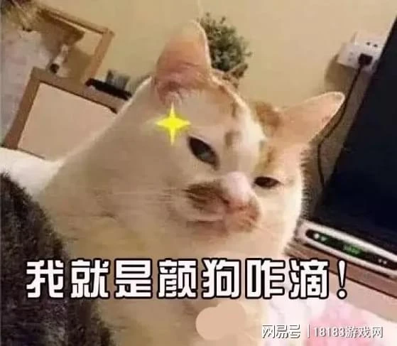 《狗生模擬器》遊戲評測 重生之我不做人啦！